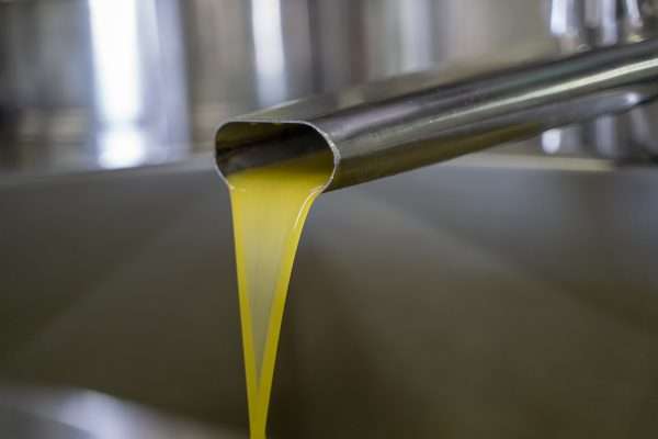 L'Oro di Atena- Olio extravergine di oliva - immagine 3