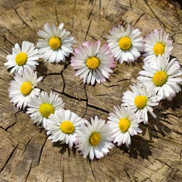 Confezione Regalo Di Maggio – Gusto ed Eleganza ✨ - immagine 3