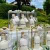 Olio Extravergine d’Oliva - L'ORO DEGLI DEI - immagine 26