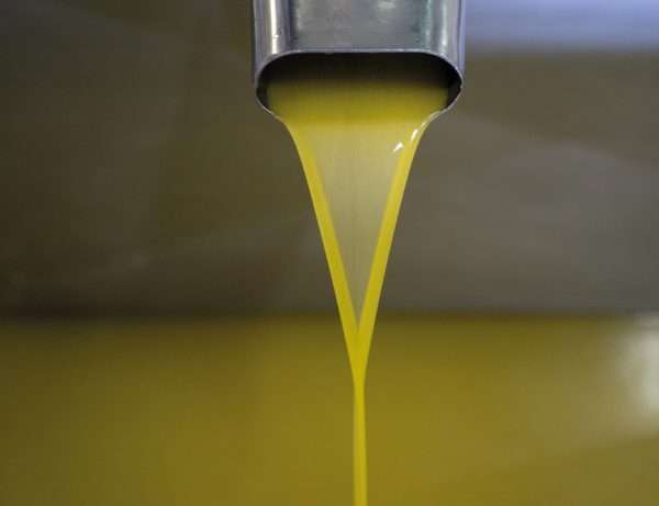TRÈSOR Olio extravergine d'oliva -latta da 3 litri - immagine 2